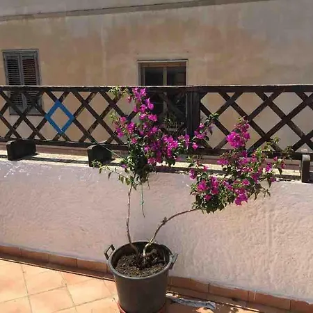 Stella Maris - In Holiday home *